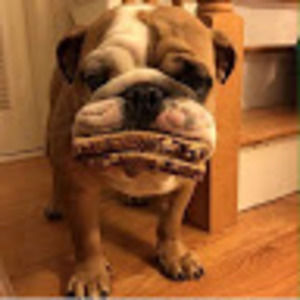 Meet your Posher, Ruben